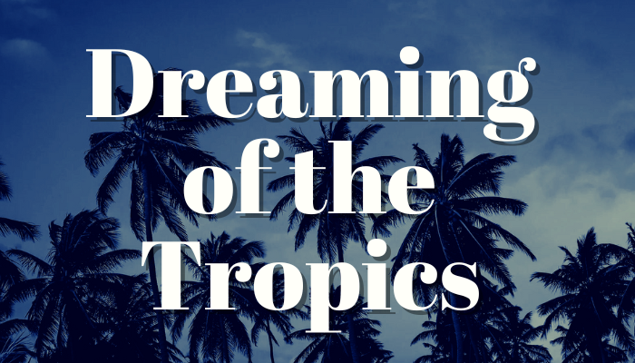 Dreaming of the Tropics Display Teaser image