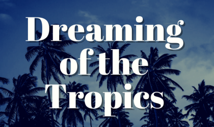 Dreaming of the Tropics Display Teaser image