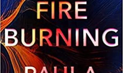 While You Are Waiting... A Slow Fire Burning, by Paula Hawkins Teaser image