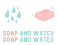 Lucy Knisley Soap and Water Graphic