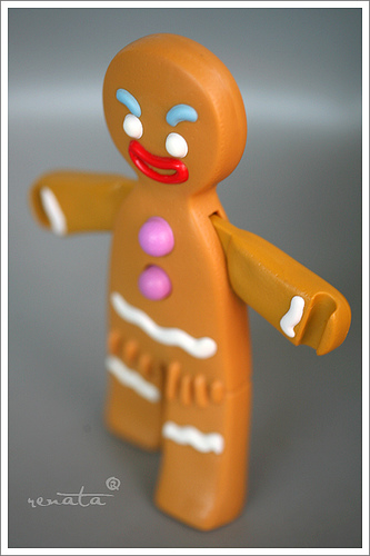 gingy | Chelmsford Public Library